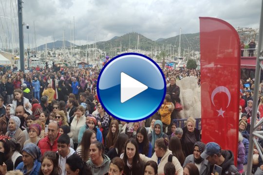 8. Bodrum Hamsi Festivali Bölüm - 1 - 11 SUBAT 2024